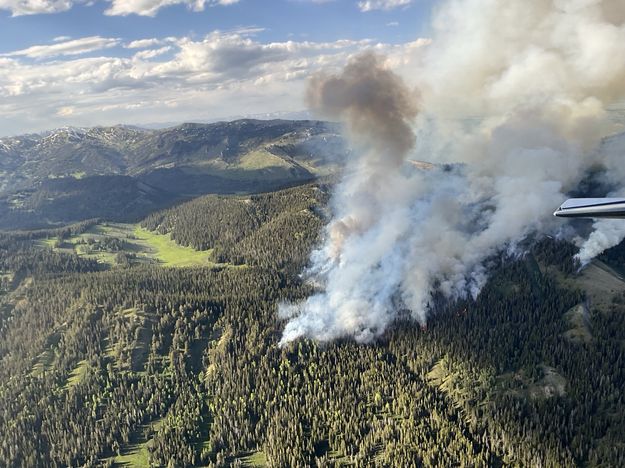 Horse Fire. Photo by Bridger-Teton National Forest.