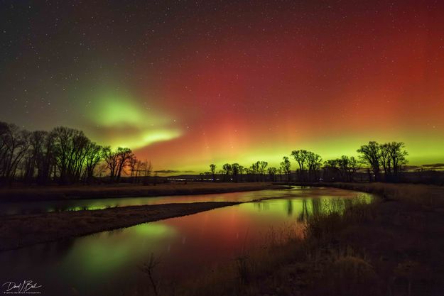 Northern lights Nov. 11. Photo by Dave Bell.