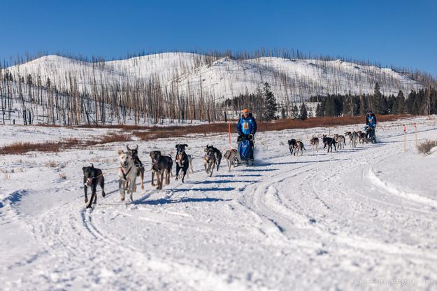Big Piney stage. Photo by Pedigree Stage Stop Race.