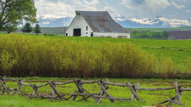 White Barn. Photo by Dave Bell.