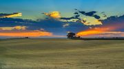 Golden Sunset. Photo by Dave Bell.