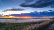 Beautiful Sunset Light . Photo by Dave Bell.