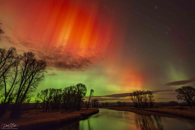 Aurora Borealis. Photo by Dave Bell.