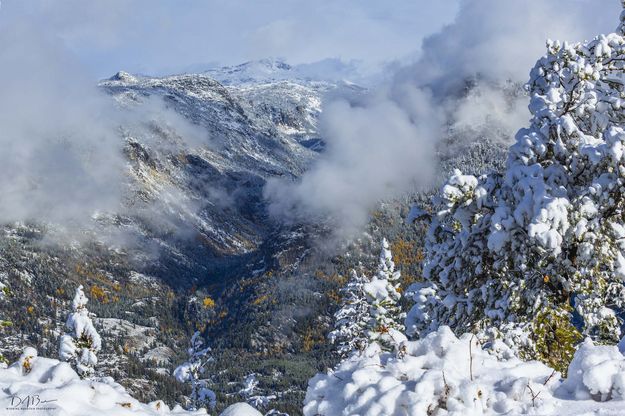 Pine Creek Canyon. Photo by Dave Bell.
