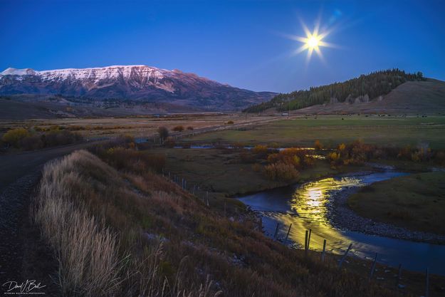 Dell Creek Reflection. Photo by Dave Bell.