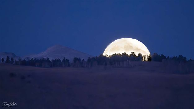 Half Moon-Full Moon. Photo by Dave Bell.