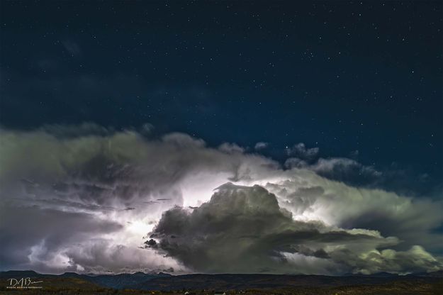 Big Boomer. Photo by Dave Bell.