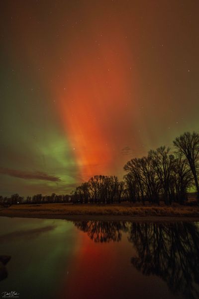 . Photo by Dave Bell.