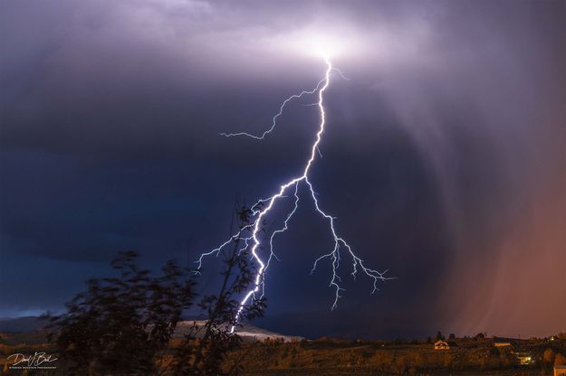 . Photo by Dave Bell.