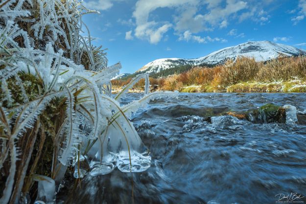Icy Structure. Photo by Dave Bell.