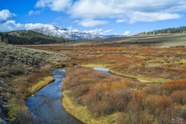 Beauty of McDougall. Photo by Dave Bell.