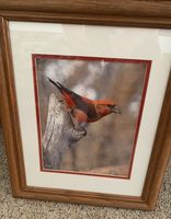 Backyard Birds - photo by Fred Pflughoft